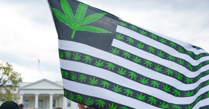 Legalizing Marijuana, Once a Pipe Dream on Capitol Hill, Takes an Important Step Forward
