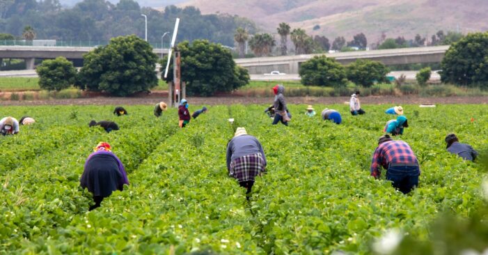 Less Immigrant Labor in US Contributing to Price Hikes