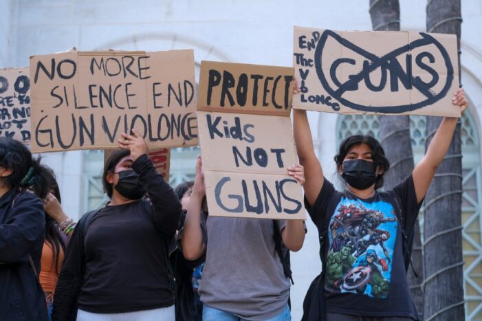 Senate Majority Takes Action on Gun Violence Prevention