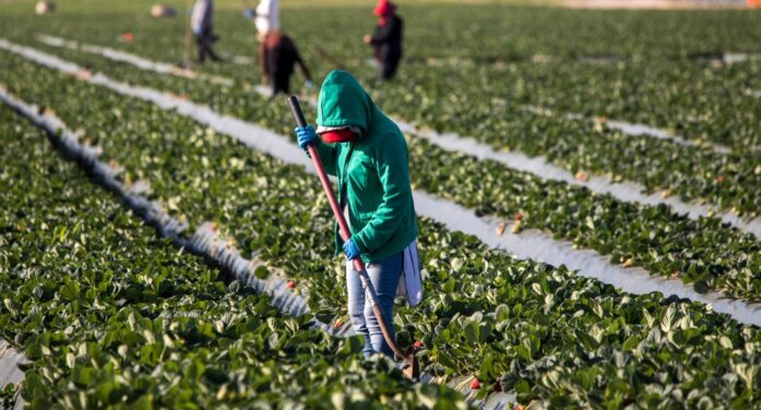 Immigrant Workers Who Report Labor Violations Will Be Protected Under This New Policy