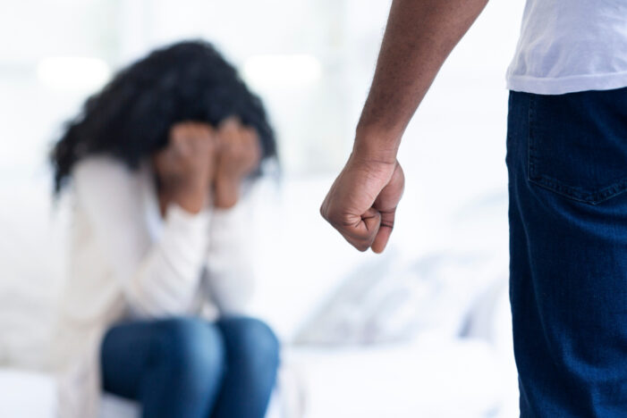The New Approach to Ending Domestic Violence